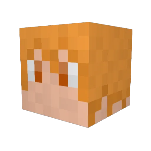 Teddytws Minecraft avatar head, 3D render