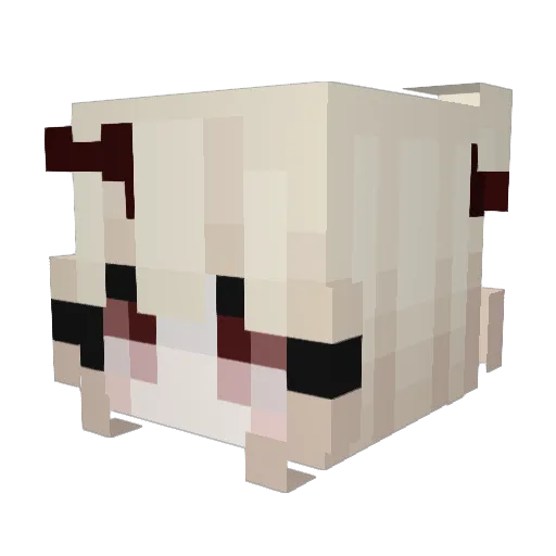 Teddyxoxo3 Minecraft avatar head, 3D render
