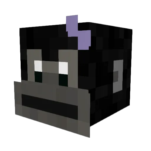 Teddzz1 Minecraft avatar head, 3D render