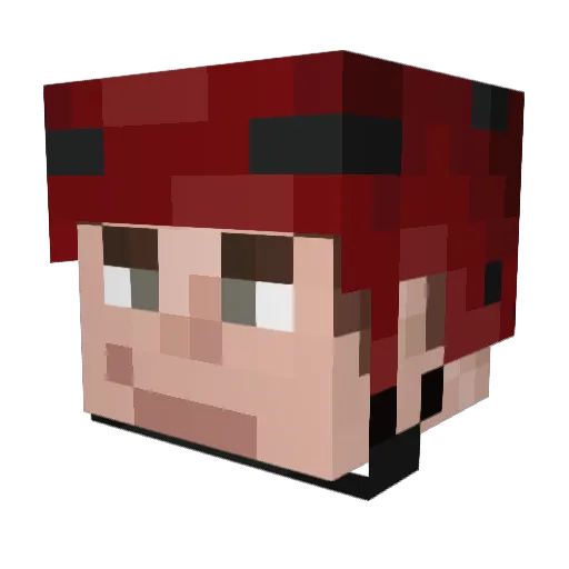 Tedstar Minecraft avatar head, 3D render