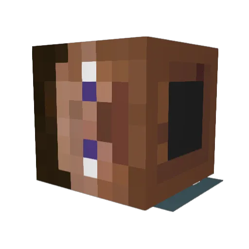 TeeShark Minecraft avatar head, 3D render