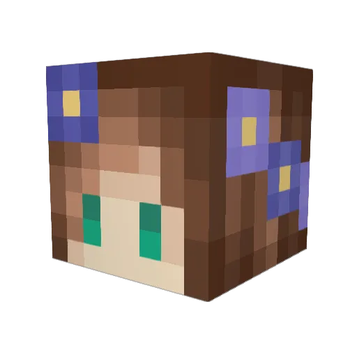 TeeStern Minecraft avatar head, 3D render
