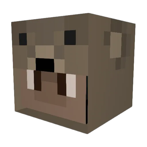 TeeTheGuy Minecraft avatar head, 3D render