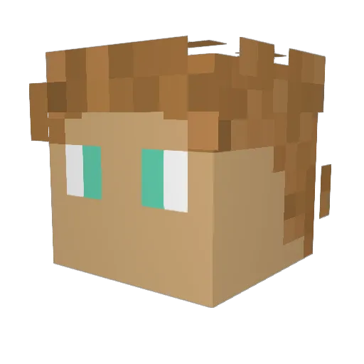 TeeToxz1337 Minecraft avatar head, 3D render