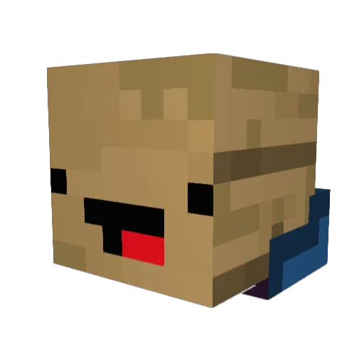 TeeTyJunGz Minecraft avatar head, 3D render