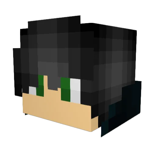 Teebounder Minecraft avatar head, 3D render
