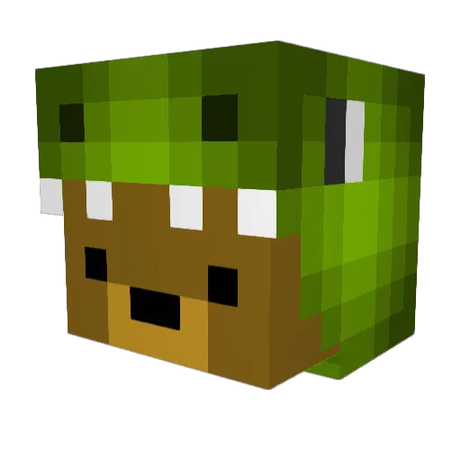 Teechur Minecraft avatar head, 3D render