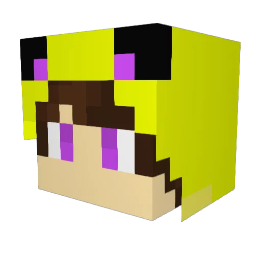 TeedleJ Minecraft avatar head, 3D render