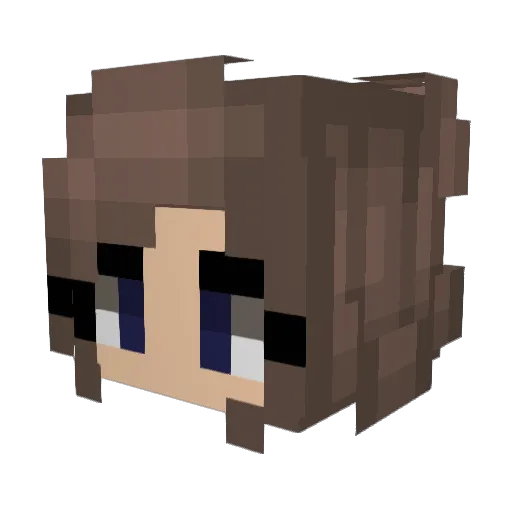 Teeeb Minecraft avatar head, 3D render