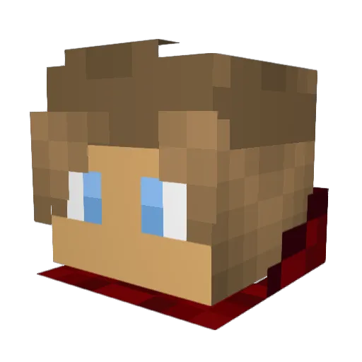 Teeeler Minecraft avatar head, 3D render