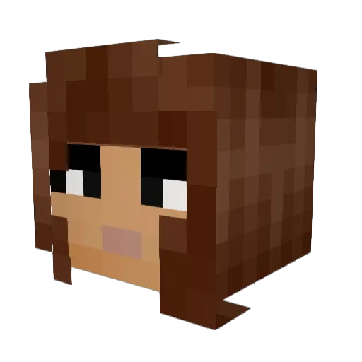 Teegen Minecraft avatar head, 3D render