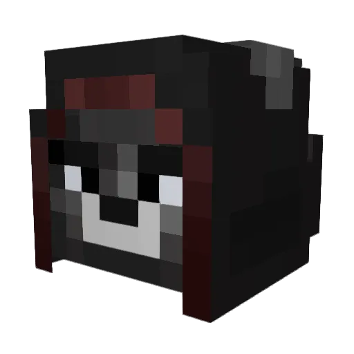 Teeger_ Minecraft avatar head, 3D render