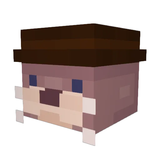 Teegetsu Minecraft avatar head, 3D render