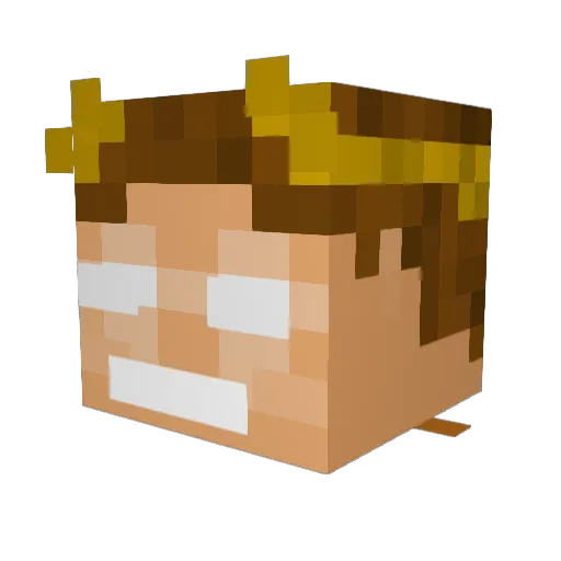 Teegz18 Minecraft avatar head, 3D render