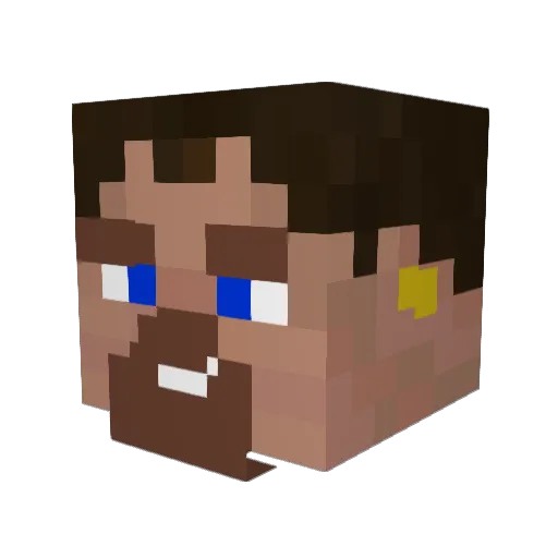 Teej01 Minecraft avatar head, 3D render