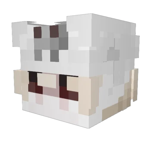 Teejay Minecraft avatar head, 3D render