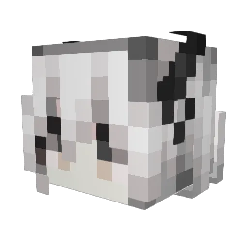 Teekaz Minecraft avatar head, 3D render