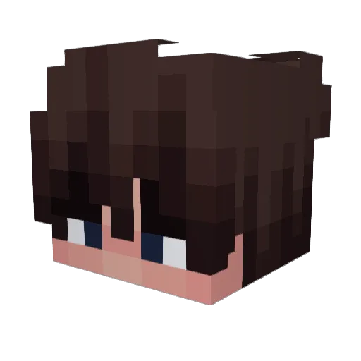 Teekle_ Minecraft avatar head, 3D render