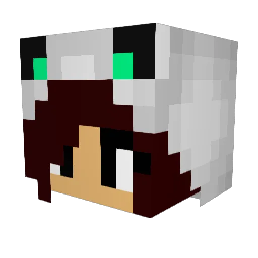 Teel_Wolf7749 Minecraft avatar head, 3D render