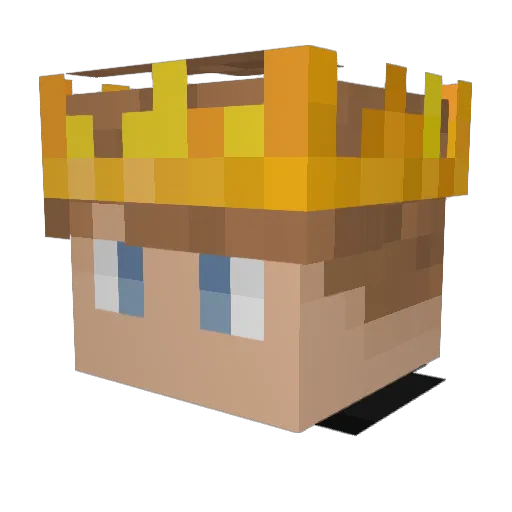 Teelxffel Minecraft avatar head, 3D render