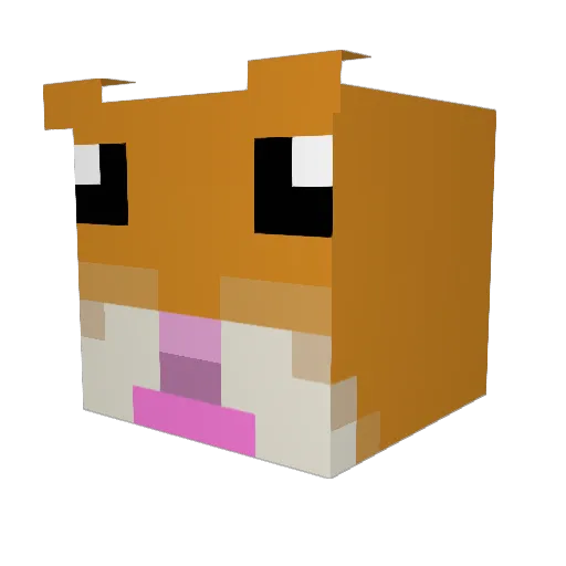 TeemRi Minecraft avatar head, 3D render