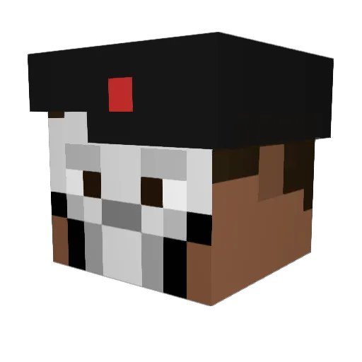 TeemoTL Minecraft avatar head, 3D render