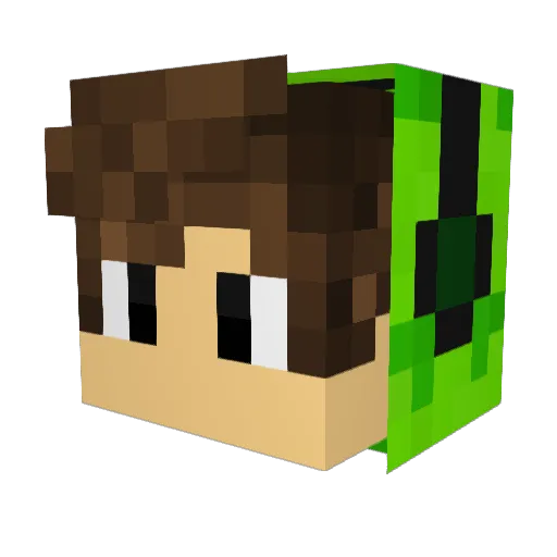 TeenElitePvP Minecraft avatar head, 3D render