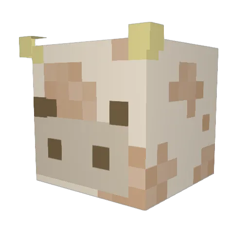 TeenNicole Minecraft avatar head, 3D render