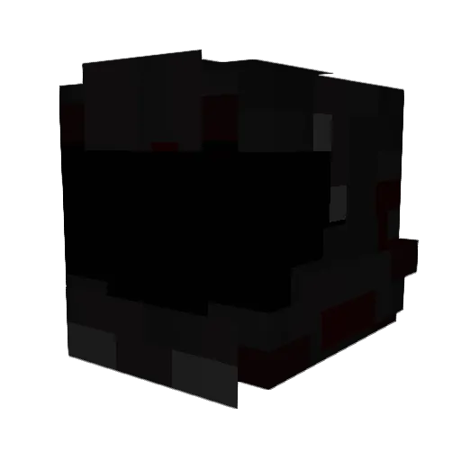 TeenTortoise8 Minecraft avatar head, 3D render