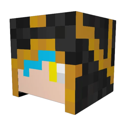 TeenWizarth Minecraft avatar head, 3D render