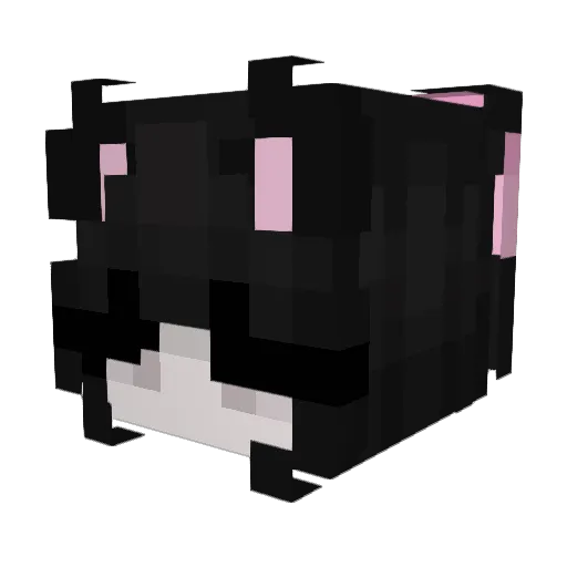 Teen_Face Minecraft avatar head, 3D render