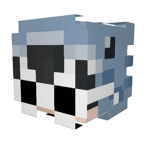 Teen_Luier Minecraft avatar head, 3D render
