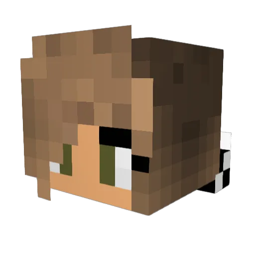 TeenaTuna Minecraft avatar head, 3D render