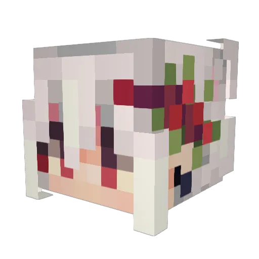 Teenie0o Minecraft avatar head, 3D render