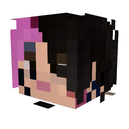 Teensicide Minecraft avatar head, 3D render