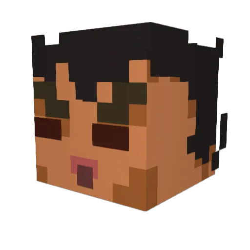 Teenturtle08 Minecraft avatar head, 3D render