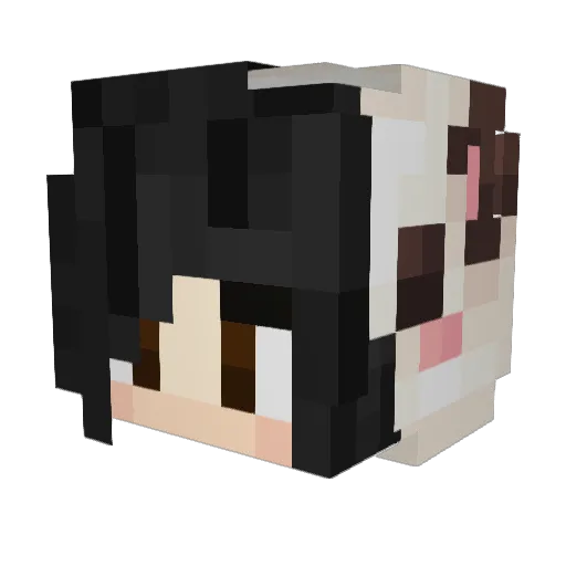 TeenyCookie Minecraft avatar head, 3D render