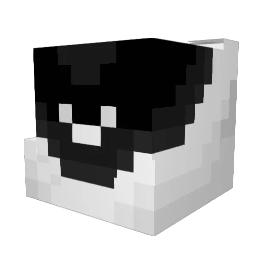 Teenyas Minecraft avatar head, 3D render