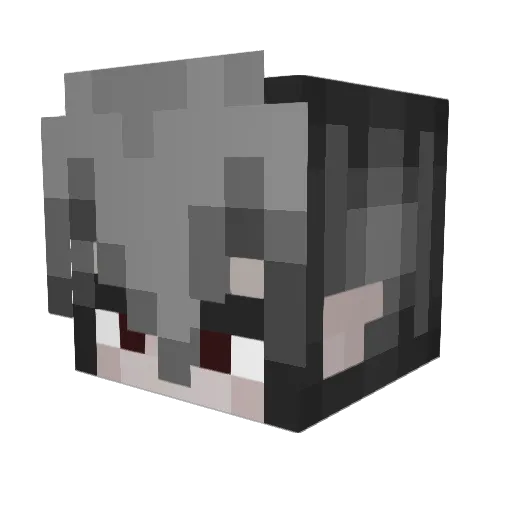Teerak16 Minecraft avatar head, 3D render