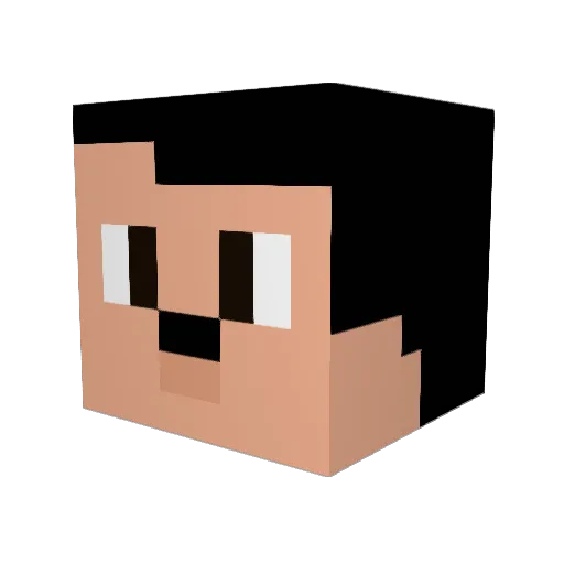 TeeshiTo Minecraft avatar head, 3D render