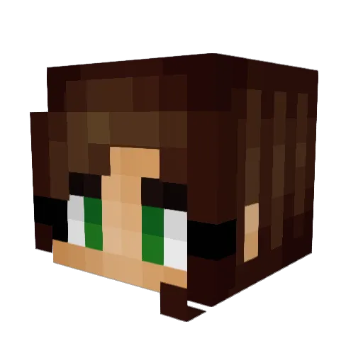 Teetaleigh Minecraft avatar head, 3D render