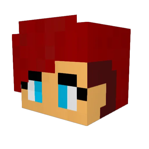 TeetotalProcyon Minecraft avatar head, 3D render