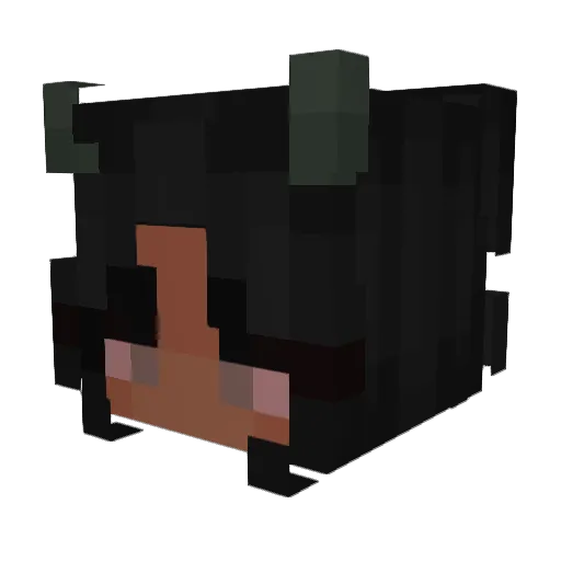 Teetuu Minecraft avatar head, 3D render
