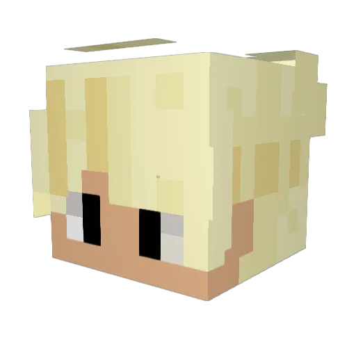 Teewt Minecraft avatar head, 3D render