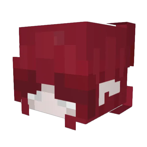 Teeyadora Minecraft avatar head, 3D render