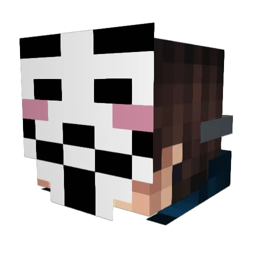 Tefan1234 Minecraft avatar head, 3D render