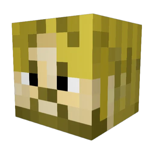 TeflonDon069 Minecraft avatar head, 3D render