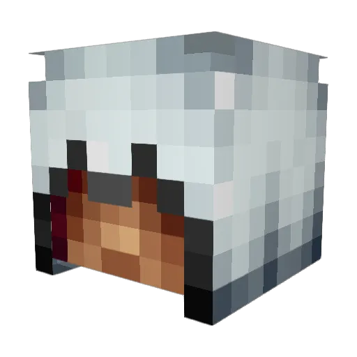 Teflur Minecraft avatar head, 3D render