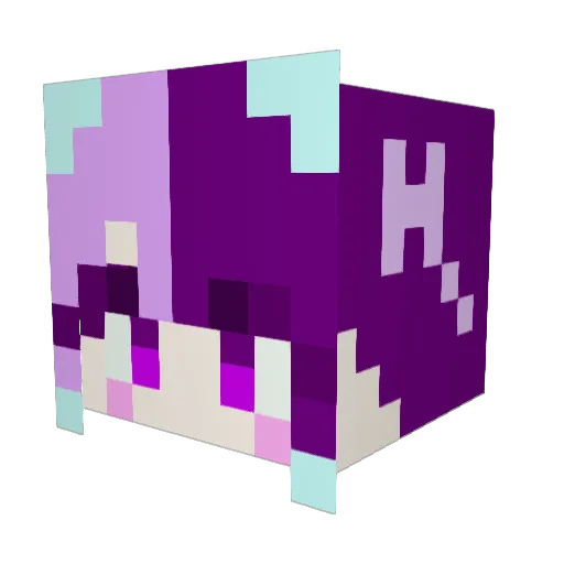 Tefu0208 Minecraft avatar head, 3D render