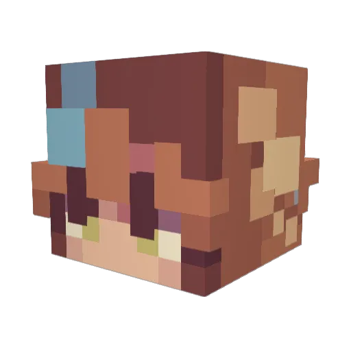 Tegans Minecraft avatar head, 3D render